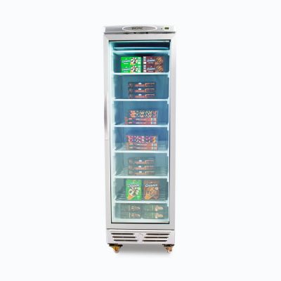 Bromic UF0374S - Upright Display Freezer - 300L - 1 Door - Flat Glass